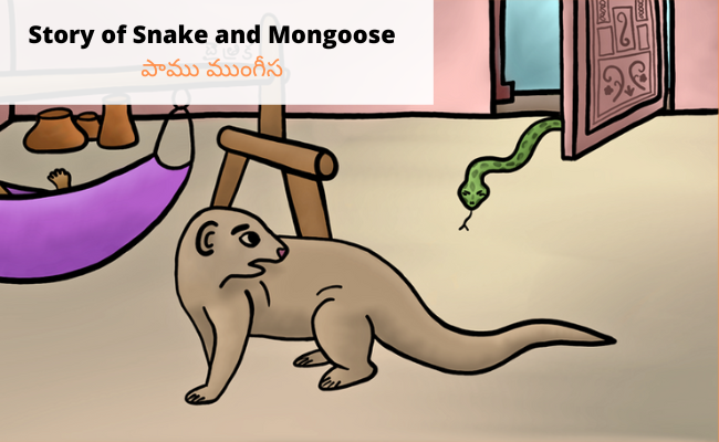 Story of Snake and Mongoose Story in Telugu and English