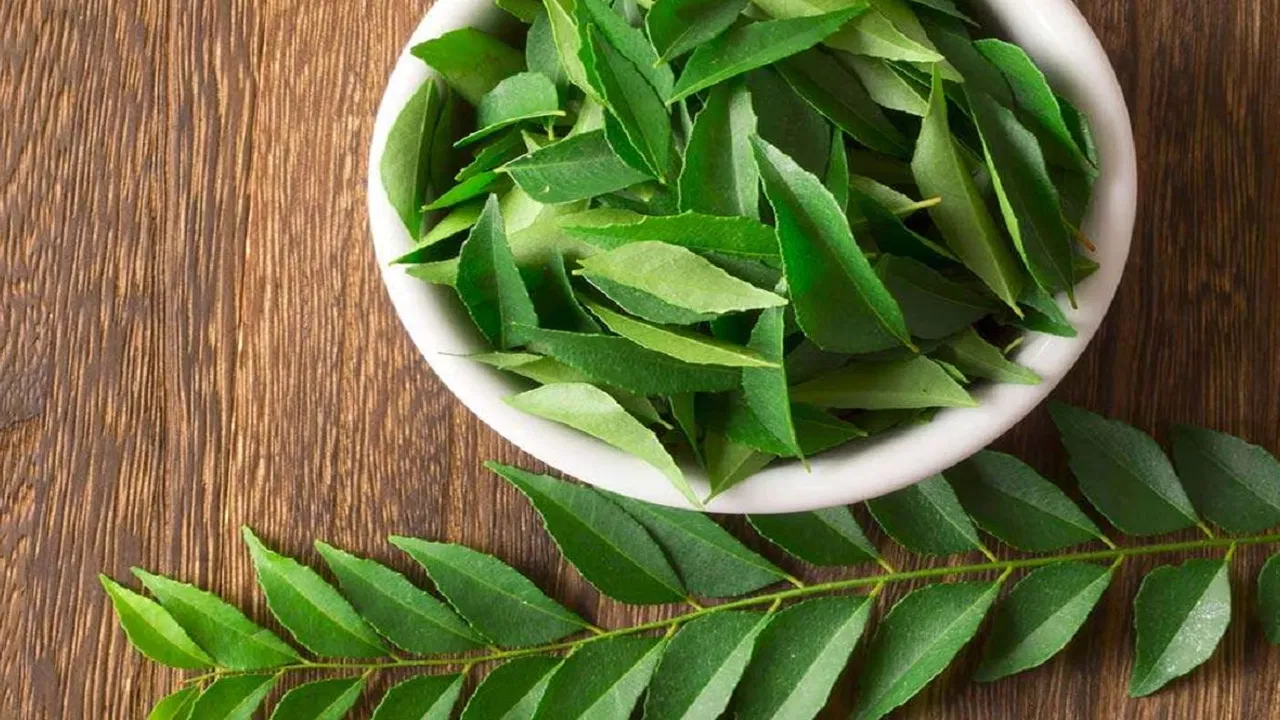 There are many uses of curry leaves you will be shocked to know