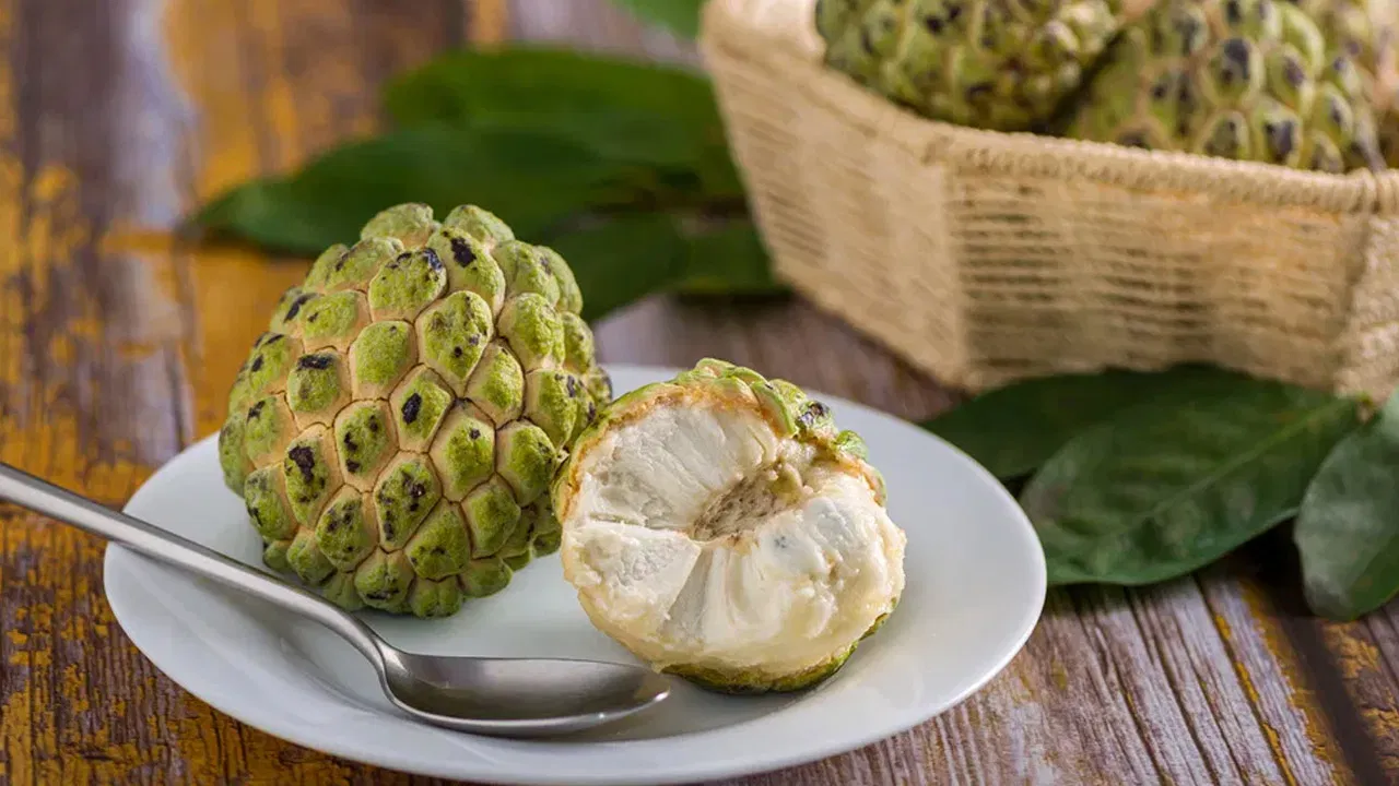 What health benefits does Custard Apple  offer this season