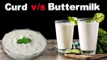  buttermilk more beneficial than curd for health..