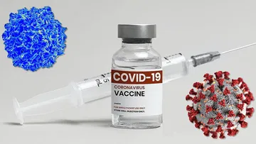  Do Covid-19 vaccines affect the heart?