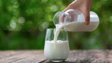  Students' New Invention.. New Device To Detect Milk Adulteration In 30 Seconds.. Soon Available At Very Low Cost.