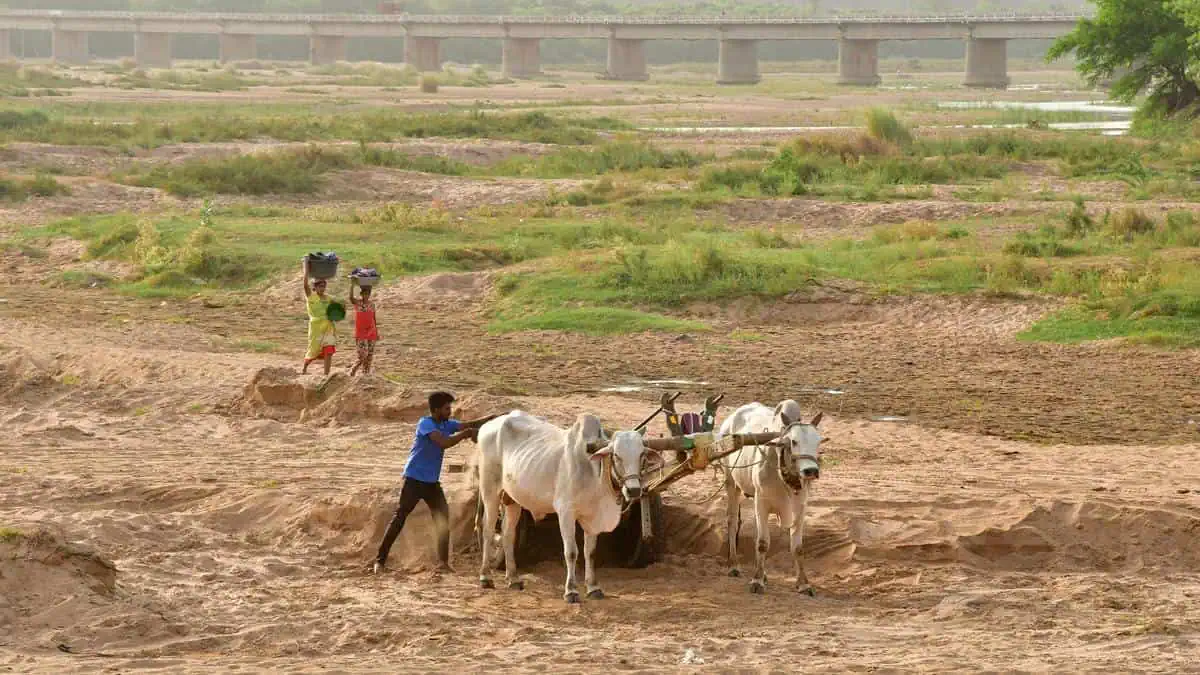 Andhra Pradesh Praises Free Sand Program Despite YCPs Claim of 750 Crore Loss