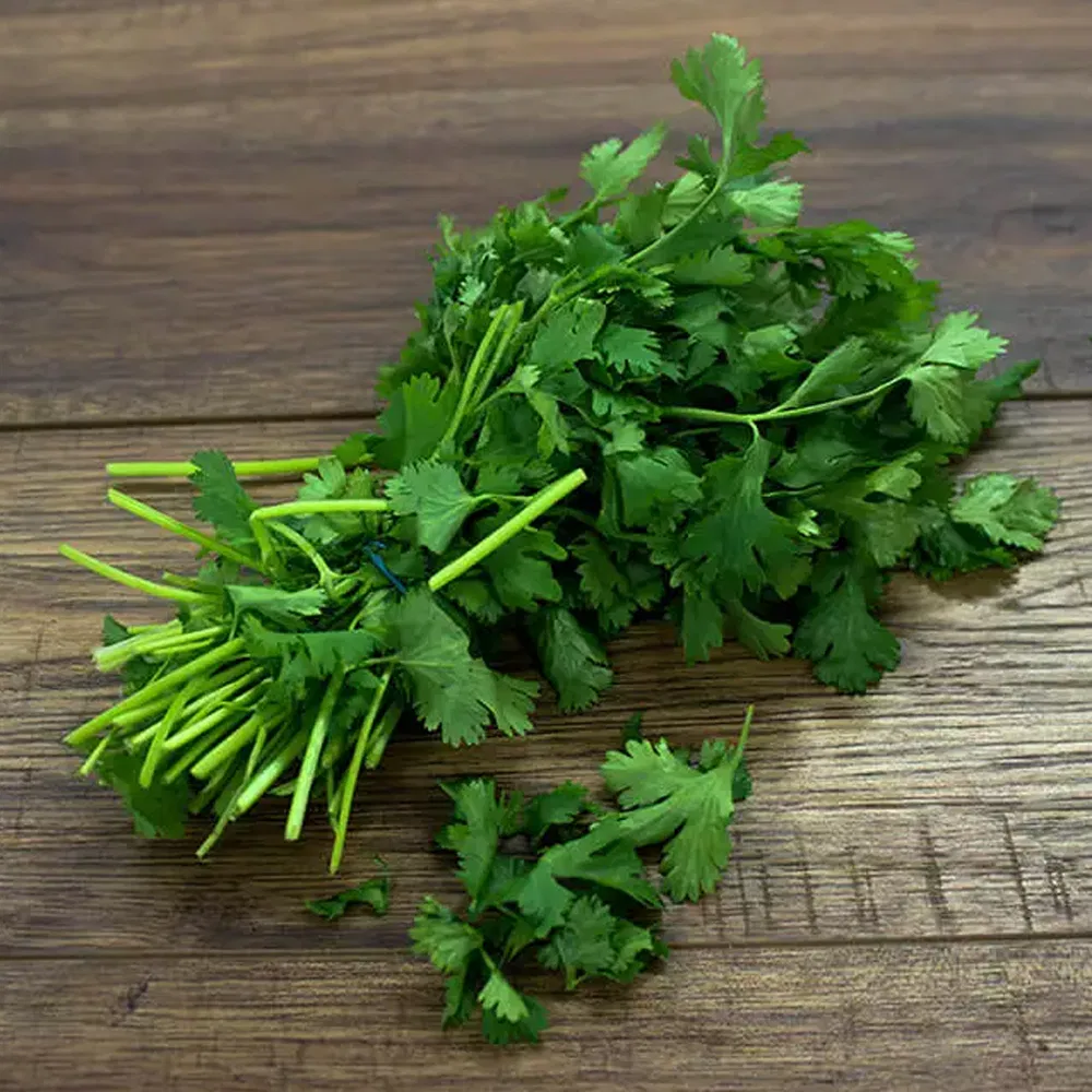 Are you taking light to see whether coriander is Sri Rama raksha for the health of the human body