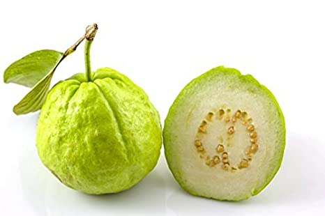 Benefits Of GUAVA 