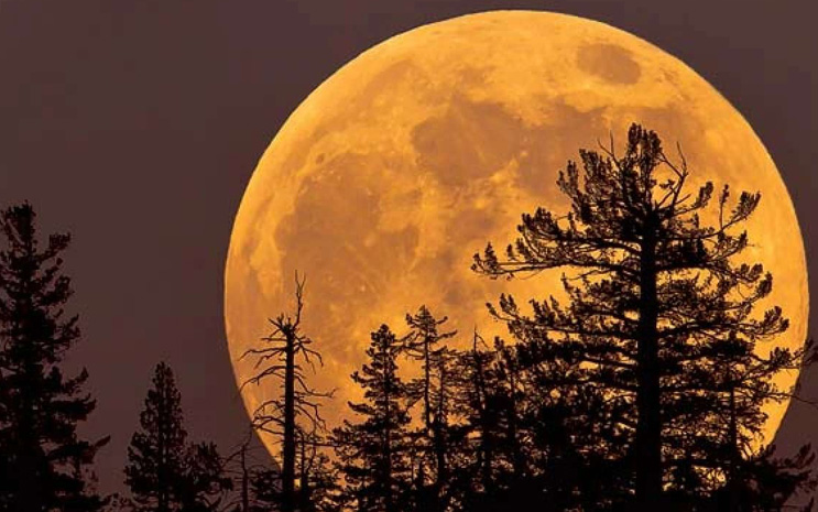 Big Super Moon On 13th July 2022 at Night