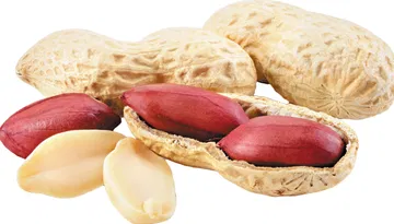 Do you know why groundnut is called poor man's cashew nut