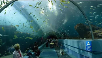 Exciting news for Hyderabadis The largest tunnel aquarium in the country is coming Where