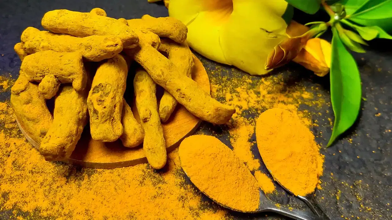 Golden prices rising with the price of turmeric New records in the market Who benefits from the prosperity