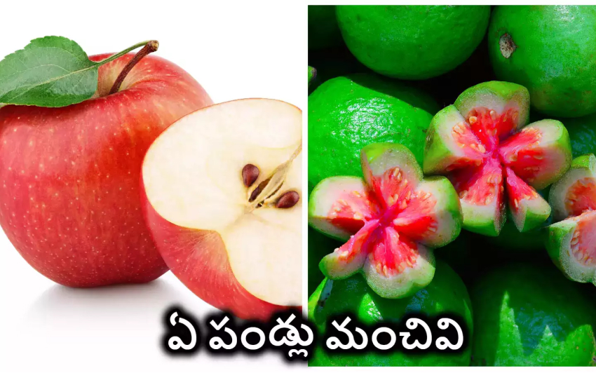 జామ పండు vs యాపిల్: ఏది ఆరోగ్యకరమైనది?