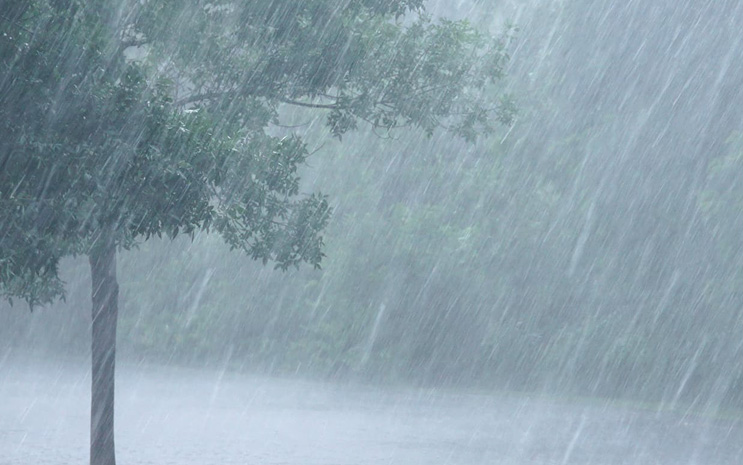 Heavy Rains in Telugu States Telangana and Andhra Pradesh