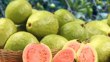 If you eat guava every day is it useful