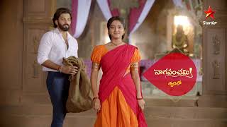 Naga Panchami - Promo | New Serial  - Maa Tv Telugu serial