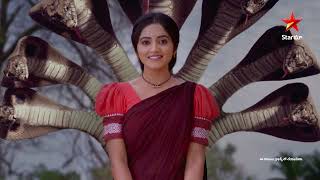 Naga Panchami - Song Promo | Star Maa Serials | Starting from  27 Mar 2023  - Maa Tv Telugu serial