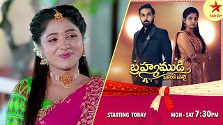 Nuvvu Nenu Prema - Episode 216, 24 Jan 2023 | Maa Tv Telugu serial