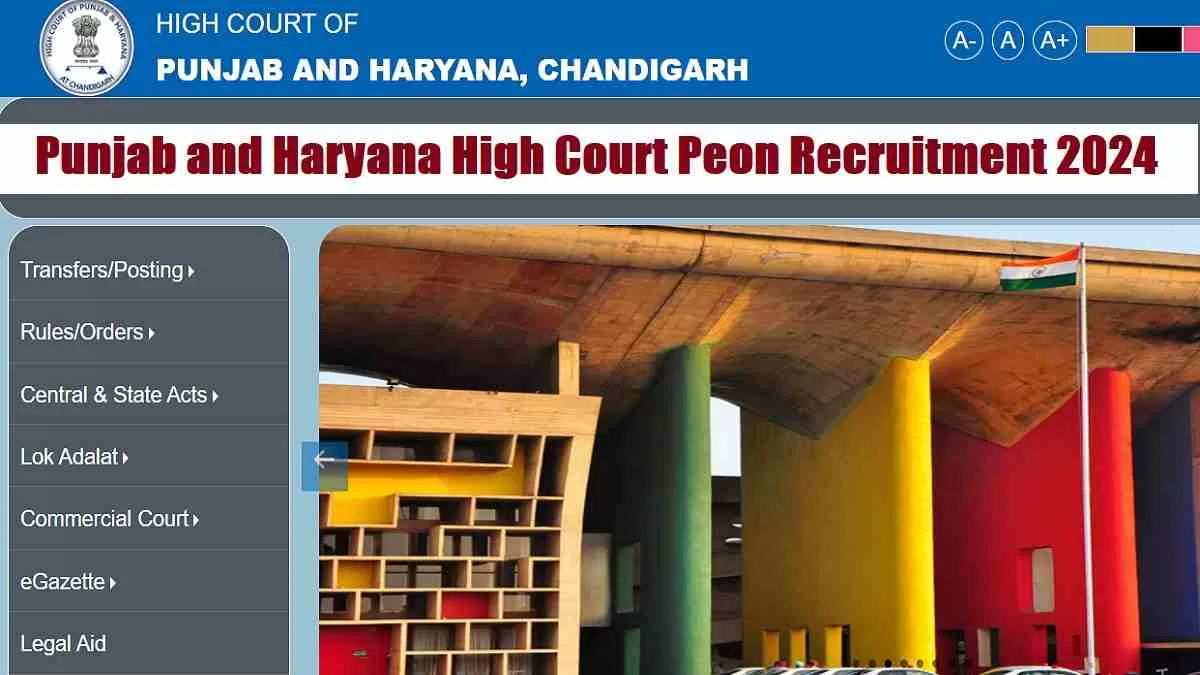 Punjab and Haryana High Court Peon Recruitment 2024 Apply Online for 300 Positions and Review the Application Process