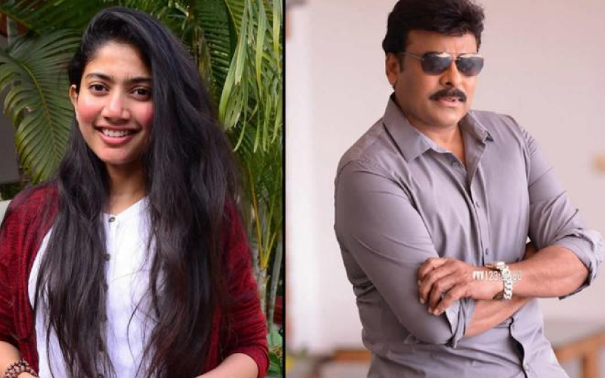 Sai Pallavi's Interesting Comments on Megastar Chiranjeevi