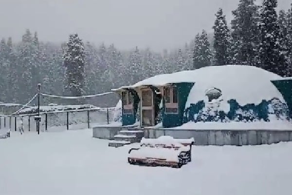 Mountains in Jammu and Kashmir experienced fresh snowfall, while the plains were lashed by rain