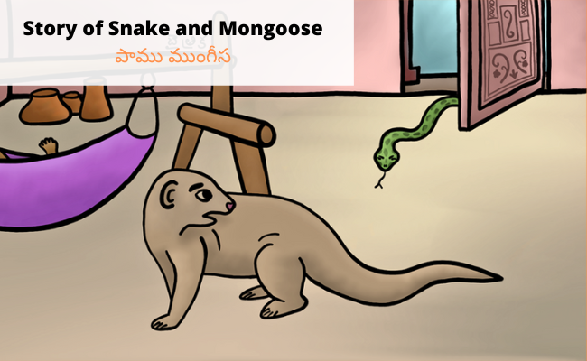 Story of Snake and Mongoose