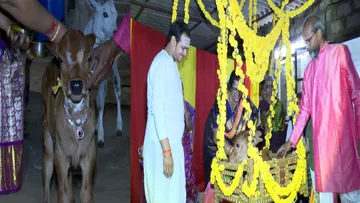 The couple named the cow calf as Vishnu.