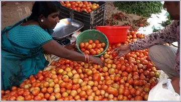 Tomato prices are sky high Rs 124 per kg in Madanapally market