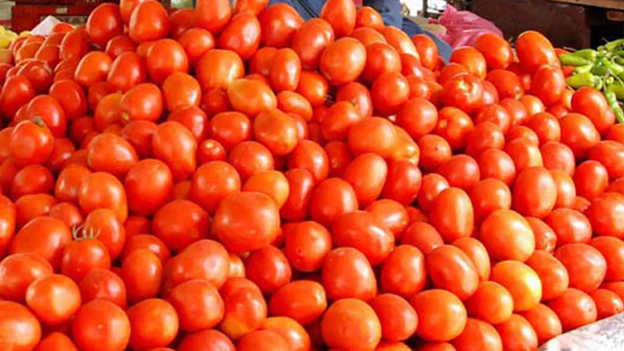 What is the rate of tomato prices in the market