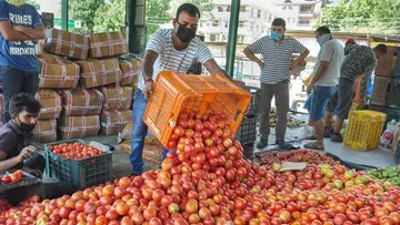 Wow luckily this is their tomato for Rs. 30 per kg not anywhere else but in our AP