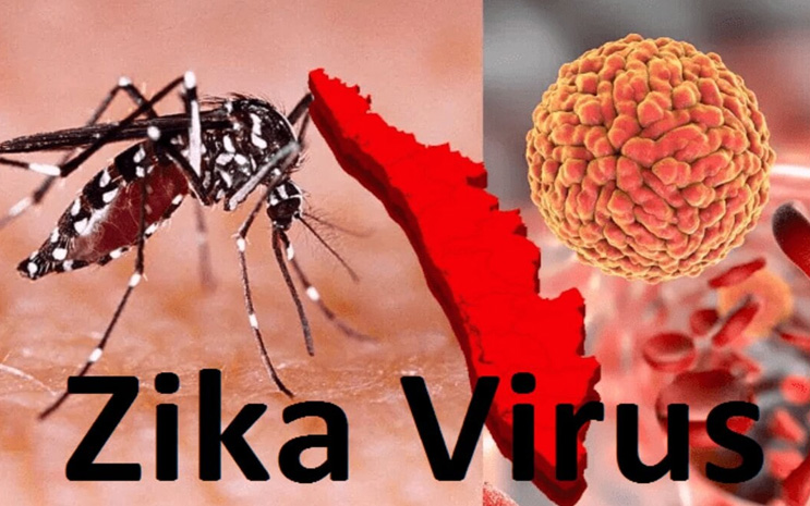 Zika virus in many Indian States including Telangana